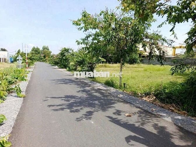 MT Lê Thị Vui chẵn 200m2 em cần bán GẤP giá chỉ 600Tr còn thương lượng