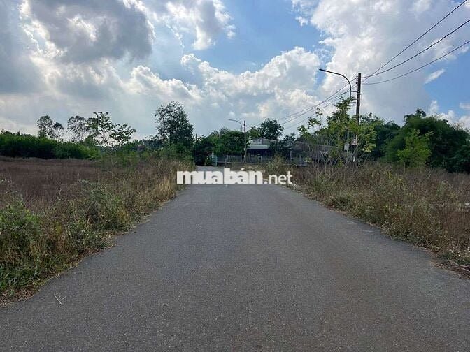 Siêu phẩm mt đg nhựa chính châu pha phú mỹ,dt:86x66 giá 16ty quá rẻ