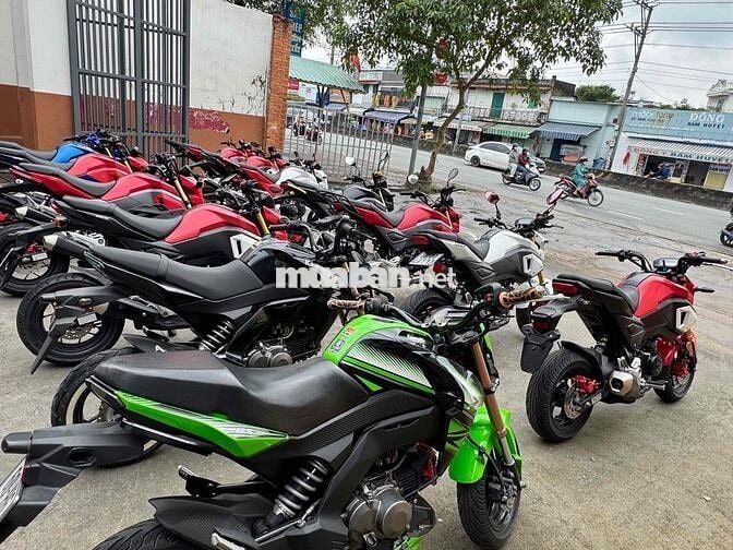 Gả nhanh dàn Honda Msx125 đẹp zin chinh chu