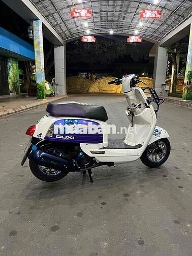 Chia Sẽ Đam Mê Ga Nhỏ , Cuxi 2010 Fi , Biển 65