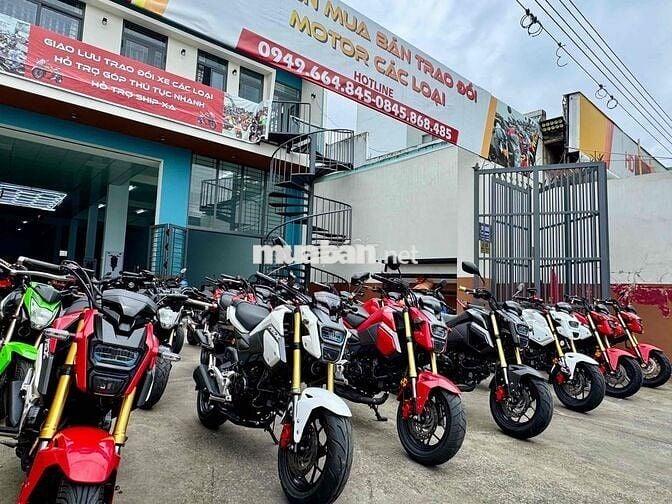 Gả nhanh dàn Honda Msx125 đẹp zin chinh chu