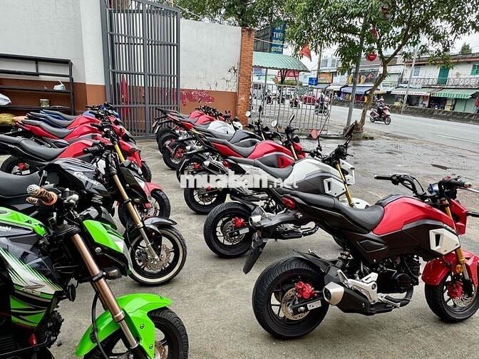 Gả nhanh dàn Honda Msx125 đẹp zin chinh chu
