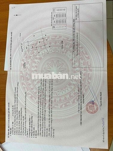 Đất Xã Tam Thôn Hiệp Huyện Cần Giờ Giá Tốt