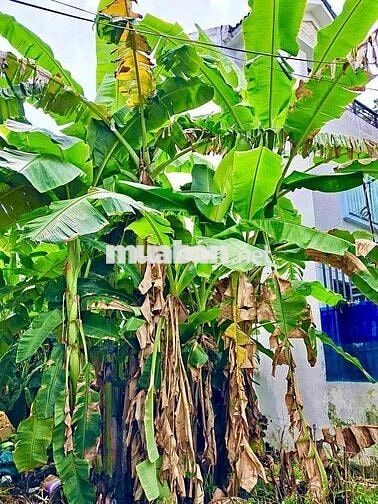 BÁN ĐẤT DA KHU DC HIM LAM, ĐS 18, SỔ ĐẸP, 105m2, VEN SÔNG SG, 11,8 Tỷ