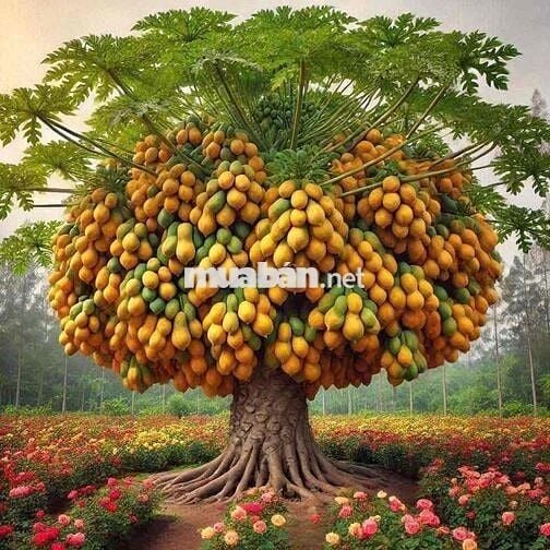 CHO THUÊ NHÀ MỚI MT NỘI BỘ KHU HỌ LÊ