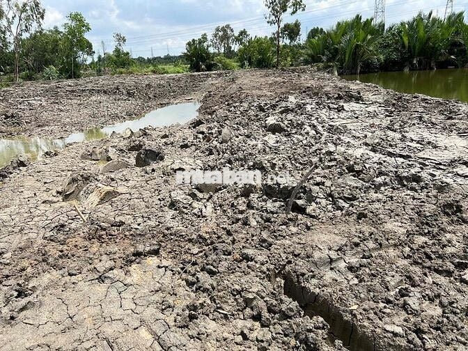 Cần bán đất nông nghiệp ở quốc lộ 50, bình chánh gần vđ 2 và 3