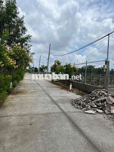 Cần bán đất nông nghiệp ở quốc lộ 50, bình chánh gần vđ 2 và 3