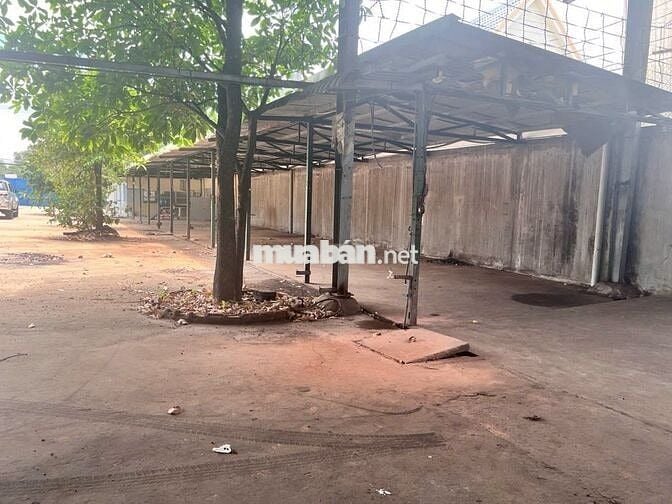 CHO THUÊ KHO XƯỞNG 2000M2 TẠI TÂN BỬU, BẾN LỨC, LONG AN