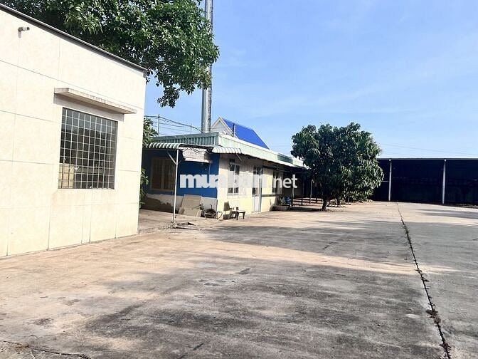 CHO THUÊ KHO XƯỞNG 2000M2 TẠI TÂN BỬU, BẾN LỨC, LONG AN