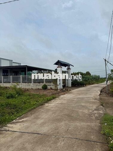Kẹt tiền bán gấp 138m2(6x23h thổ cư sổ riêng.Gần KDL núi Chứa Chan