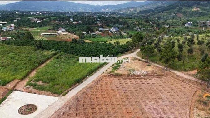 Lô góc 2 mặt tiền đường với chiếc view săn mây cực chill ven Đà Lạt
