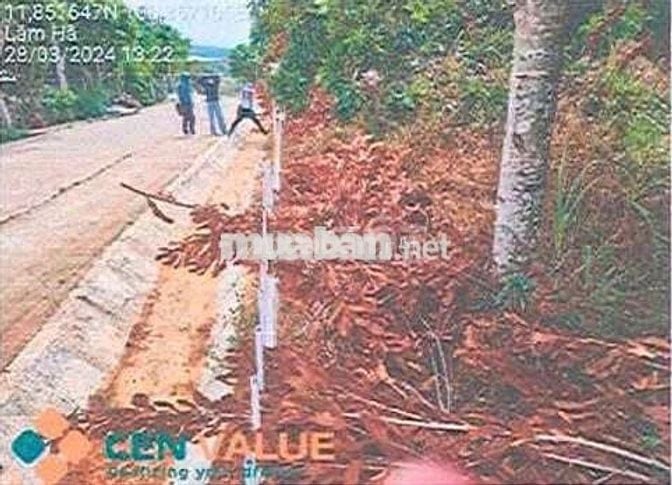 Bán ĐGTS đất tại xã Nam Ban Lâm Hà, tỉnh Lâm Đồng
