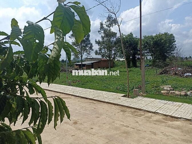 🏡 Đất nền Đinh Văn – chỉ 430tr, sẵn 72m² thổ cư!