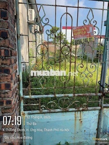 Bán đất chính chủ thôn hoa đường , ứng thiên, Hà Nội (xã trường thịnh)