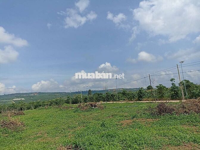 🏡 Đất nền Đinh Văn – chỉ 430tr, sẵn 72m² thổ cư!