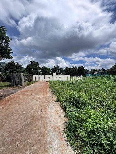 Bán 167m2 thổ cư sổ riêng gần KDL núi Chứa Chan, Xuân Lộc, Đồng Nai