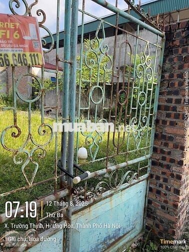 Bán đất chính chủ thôn hoa đường , ứng thiên, Hà Nội (xã trường thịnh)
