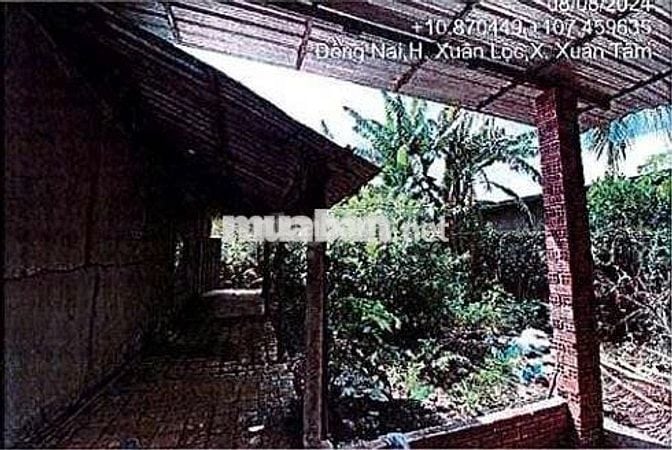Bán ĐGTS đất tại xã Xuân Hòa, tỉnh Đồng Nai