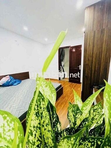 chính chủ nhà Tân Mai giá thoả thuận