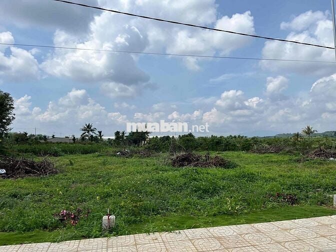 Đất đẹp giá rẻ gần Đà Lạt , chỉ với 430tr