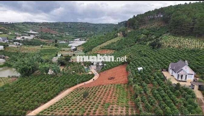 Cần bán lô đất nghỉ dưỡng vùng ven view đồi thông , giá chỉ 750tr