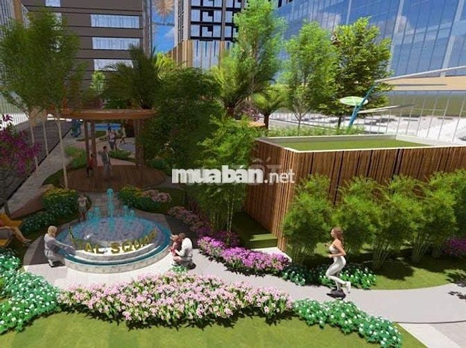 CĂN HỘ 2PN CAPITAL SQUARE DANANG NGAY CẦU SÔNG HÀN GIÁ CHỈ TỪ 4 TỶ
