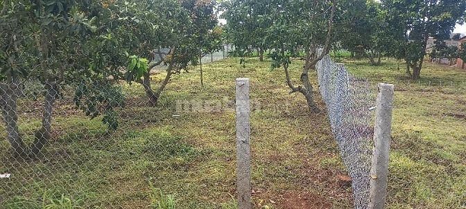 bán 394m2 đất xã tân hội đức trọng lâm đồng giá 1 tỷ 250 triệu 