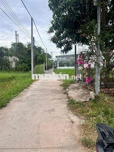 Bán đất Nguyễn Văn Tiếp, P5, Long An cách vòng xoay Tân An 5p