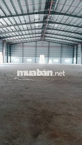 Cho thuê kho xưởng 6.000m² Bến Lức Long An, PCCC tự động,giá từ 2.5usd