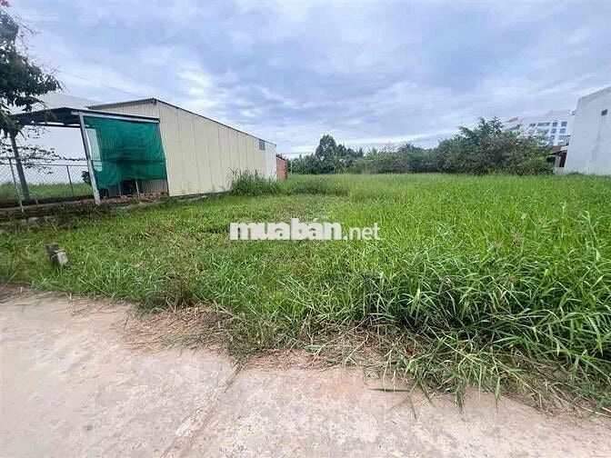 Bán đất Nguyễn Văn Tiếp, P5, Long An cách vòng xoay Tân An 5p