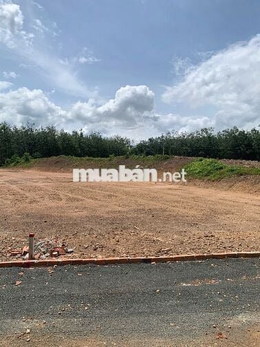 cần tiền bán gấp miếng đất 200m2 có sẵn 100m2 thổ  cư sổ sẵn 200tr