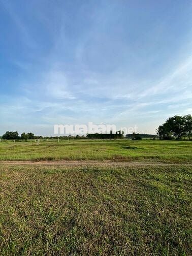 💥CHÍNH CHỦ BÁN GẤP 500m2 ĐẤT VƯỜN TRẢNG BÀNG - GIÁ CHỈ 500 TRIỆU 💥