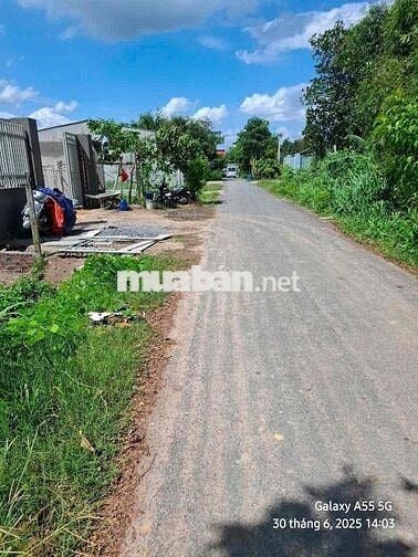 BÁN GẤP LÔ ĐẤT 155,9M² TÂN PHÚ TRUNG, CỦ CHI.