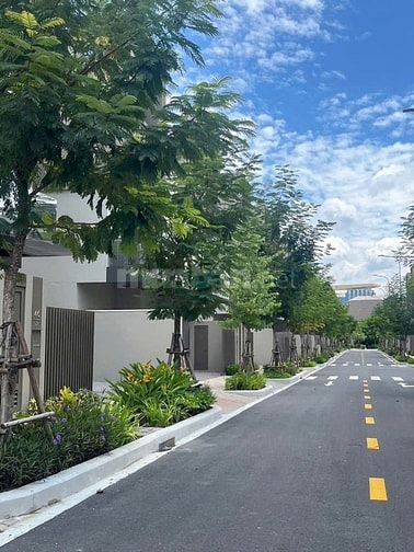 THE ORCHARD SYCAMORE – KIỆT TÁC SỐNG XANH GIỮA LÒNG THÀNH PHỐ MỚI