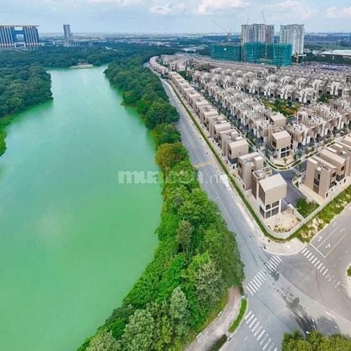 THE ORCHARD SYCAMORE – KIỆT TÁC SỐNG XANH GIỮA LÒNG THÀNH PHỐ MỚI
