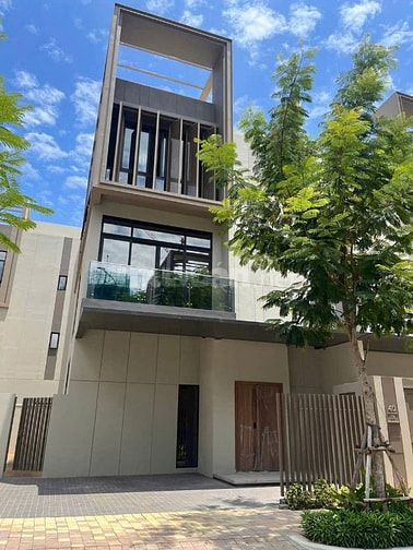 THE ORCHARD SYCAMORE – KIỆT TÁC SỐNG XANH GIỮA LÒNG THÀNH PHỐ MỚI