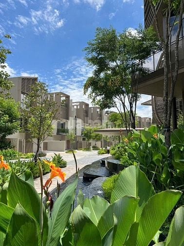 THE ORCHARD SYCAMORE – KIỆT TÁC SỐNG XANH GIỮA LÒNG THÀNH PHỐ MỚI