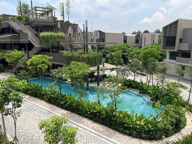 THE ORCHARD SYCAMORE – KIỆT TÁC SỐNG XANH GIỮA LÒNG THÀNH PHỐ MỚI