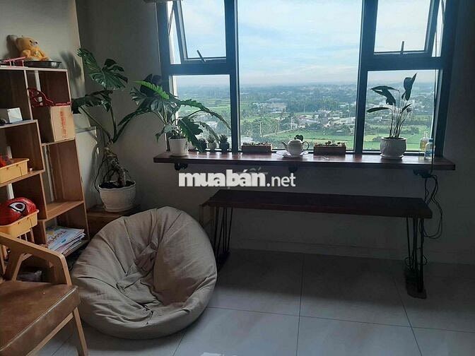 Chính chủ bán căn 50m2, Block C31, có đầy đủ nội thất