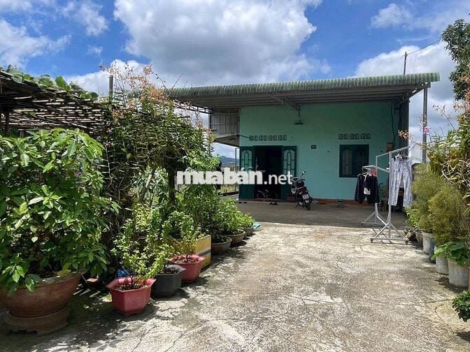 Đất sài gòn 2500m2 giá 790tr bao sổ