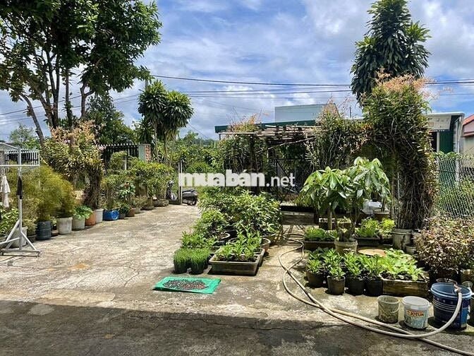 Đất sài gòn 2500m2 giá 790tr bao sổ