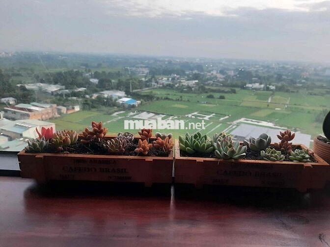Chính chủ bán căn 50m2, Block C31, có đầy đủ nội thất