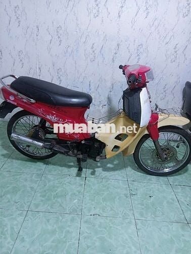 Max 50cc cho học sinh