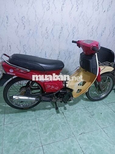 Max 50cc cho học sinh