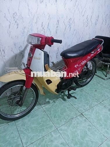 Max 50cc cho học sinh