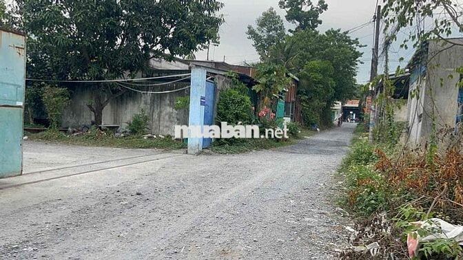bán đất dân cư hiện hữu Tân Thạnh Đông