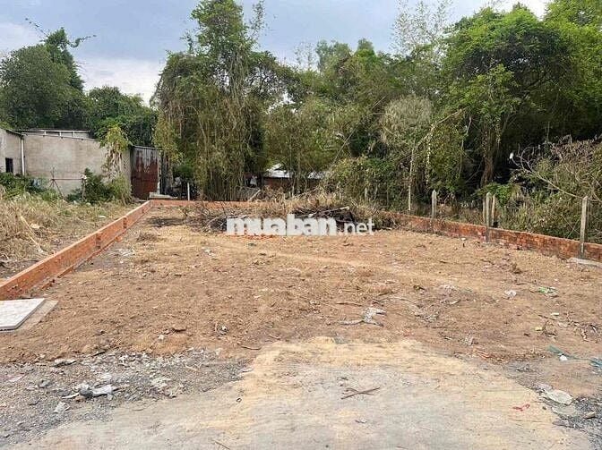 bán đất dân cư hiện hữu Tân Thạnh Đông