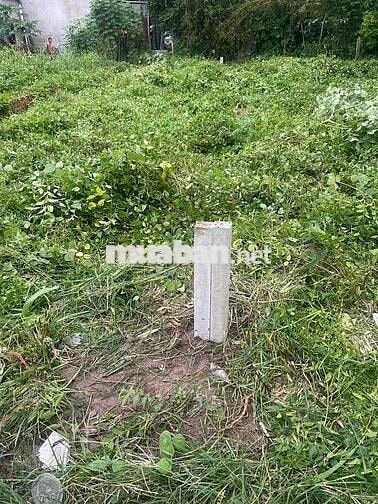 bán đất dân cư hiện hữu Tân Thạnh Đông