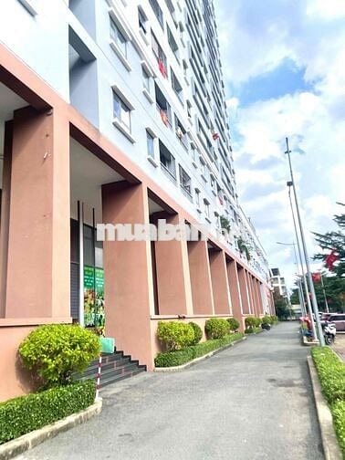 Chính chủ cho thuê CH Fresca Riverside, 2pn, 1wc, 50m2