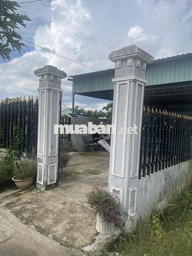 bán 107,5m2 đất thổ cư SHR tặng nhà cấp 4 kiên cố đường xe hơi